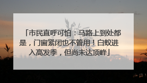 市民直呼可怕：马路上到处都是，门窗紧闭也不管用！白蚁进入高发季，但尚未达顶峰