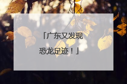 广东又发现恐龙足迹！
