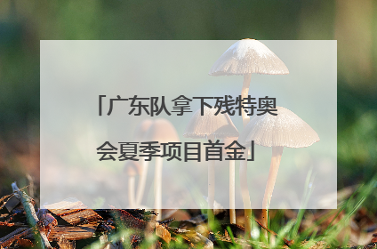 广东队拿下残特奥会夏季项目首金