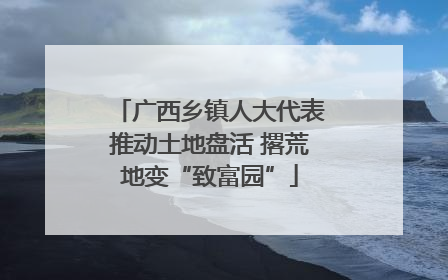 广西乡镇人大代表推动土地盘活 撂荒地变“致富园”