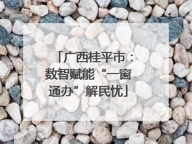 广西桂平市：数智赋能“一窗通办”解民忧