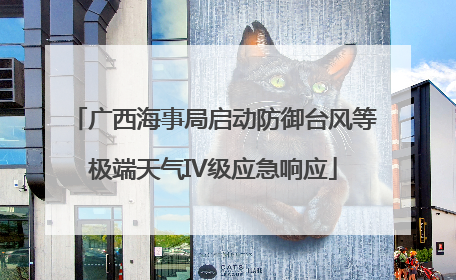广西海事局启动防御台风等极端天气IV级应急响应