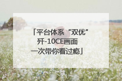 平台体系“双优” 歼-10CE画面一次带你看过瘾