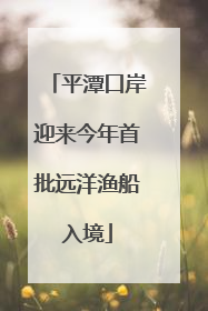 平潭口岸迎来今年首批远洋渔船入境
