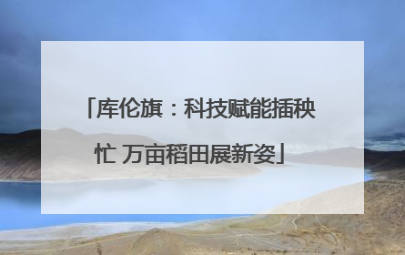 库伦旗：科技赋能插秧忙 万亩稻田展新姿