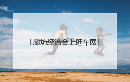 廊坊经洽会上逛车展