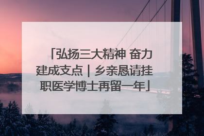 弘扬三大精神 奋力建成支点｜乡亲恳请挂职医学博士再留一年