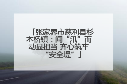 张家界市慈利县杉木桥镇：闻“汛”而动显担当 齐心筑牢“安全堤”
