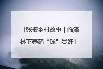 张掖乡村故事｜临泽林下养鹅“钱”景好