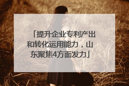 提升企业专利产出和转化运用能力，山东聚焦4方面发力