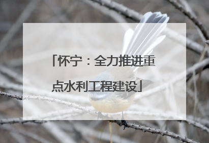怀宁：全力推进重点水利工程建设