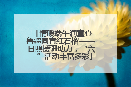 情暖端午润童心 鲁疆同育红石榴——日照援疆助力，“六一”活动丰富多彩