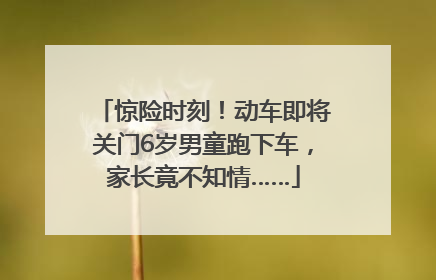 惊险时刻！动车即将关门6岁男童跑下车，家长竟不知情……
