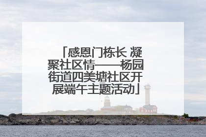 感恩门栋长 凝聚社区情——杨园街道四美塘社区开展端午主题活动