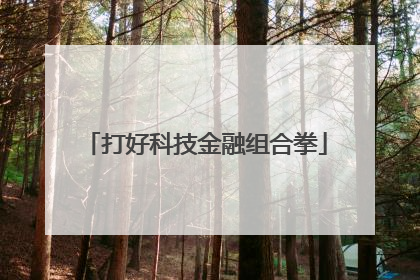 打好科技金融组合拳