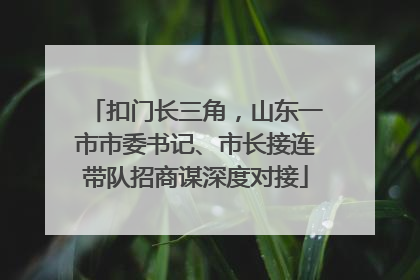 扣门长三角，山东一市市委书记、市长接连带队招商谋深度对接