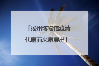 扬州博物馆藏清代扇面来泉展出