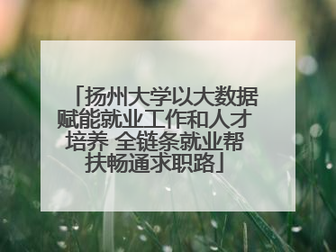 扬州大学以大数据赋能就业工作和人才培养 全链条就业帮扶畅通求职路