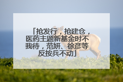 抢发行，抢建仓，医药主题新基金时不我待，范妍、徐彦等反按兵不动