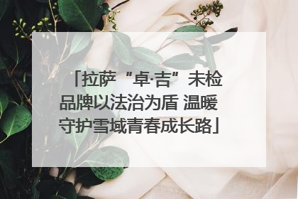 拉萨“卓·吉”未检品牌以法治为盾 温暖守护雪域青春成长路