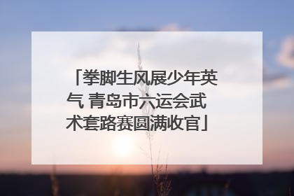 拳脚生风展少年英气 青岛市六运会武术套路赛圆满收官