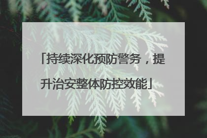 持续深化预防警务，提升治安整体防控效能