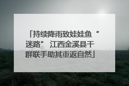 持续降雨致娃娃鱼“迷路” 江西金溪县干群联手助其重返自然