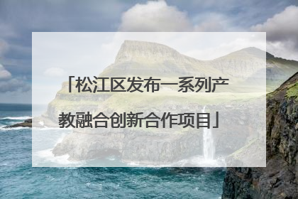 松江区发布一系列产教融合创新合作项目