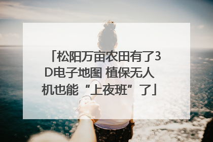 松阳万亩农田有了3D电子地图 植保无人机也能“上夜班”了