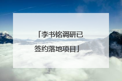 李书铭调研已签约落地项目
