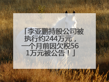 李亚鹏持股公司被执行约244万元，一个月前因欠税561万元被公告！