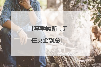 李季履新，升任央企副总