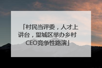 村民当评委，人才上讲台，望城区举办乡村CEO竞争性路演