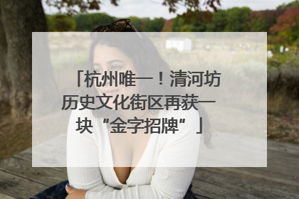 杭州唯一！清河坊历史文化街区再获一块“金字招牌”
