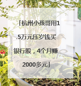 杭州小孩哥用1.5万元压岁钱买银行股，4个月赚2000多元