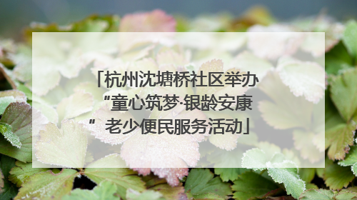 杭州沈塘桥社区举办“童心筑梦·银龄安康”老少便民服务活动