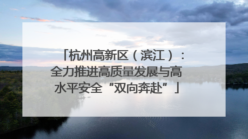 杭州高新区（滨江）：全力推进高质量发展与高水平安全“双向奔赴”