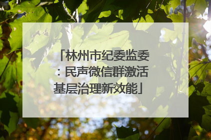 林州市纪委监委：民声微信群激活基层治理新效能