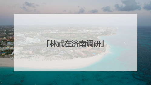 林武在济南调研