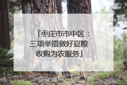 枣庄市市中区：三项举措做好夏粮收购为农服务