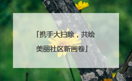 携手大扫除，共绘美丽社区新画卷