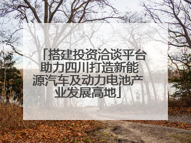 搭建投资洽谈平台 助力四川打造新能源汽车及动力电池产业发展高地