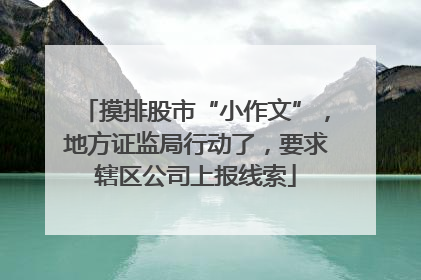 摸排股市“小作文”，地方证监局行动了，要求辖区公司上报线索
