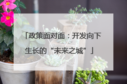 政策面对面：开发向下生长的“未来之城”