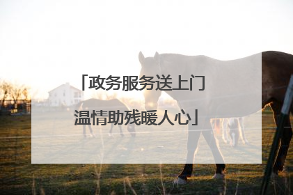 政务服务送上门 温情助残暖人心