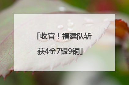 收官！福建队斩获4金7银9铜