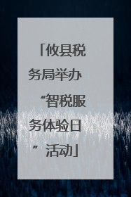 攸县税务局举办“智税服务体验日”活动