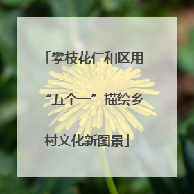 攀枝花仁和区用“五个一”描绘乡村文化新图景
