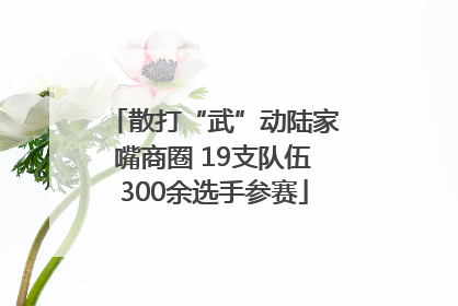 散打“武”动陆家嘴商圈 19支队伍300余选手参赛