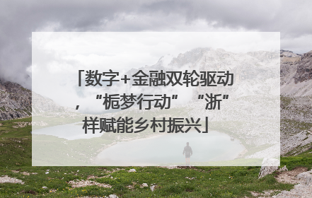 数字+金融双轮驱动，“栀梦行动”“浙”样赋能乡村振兴